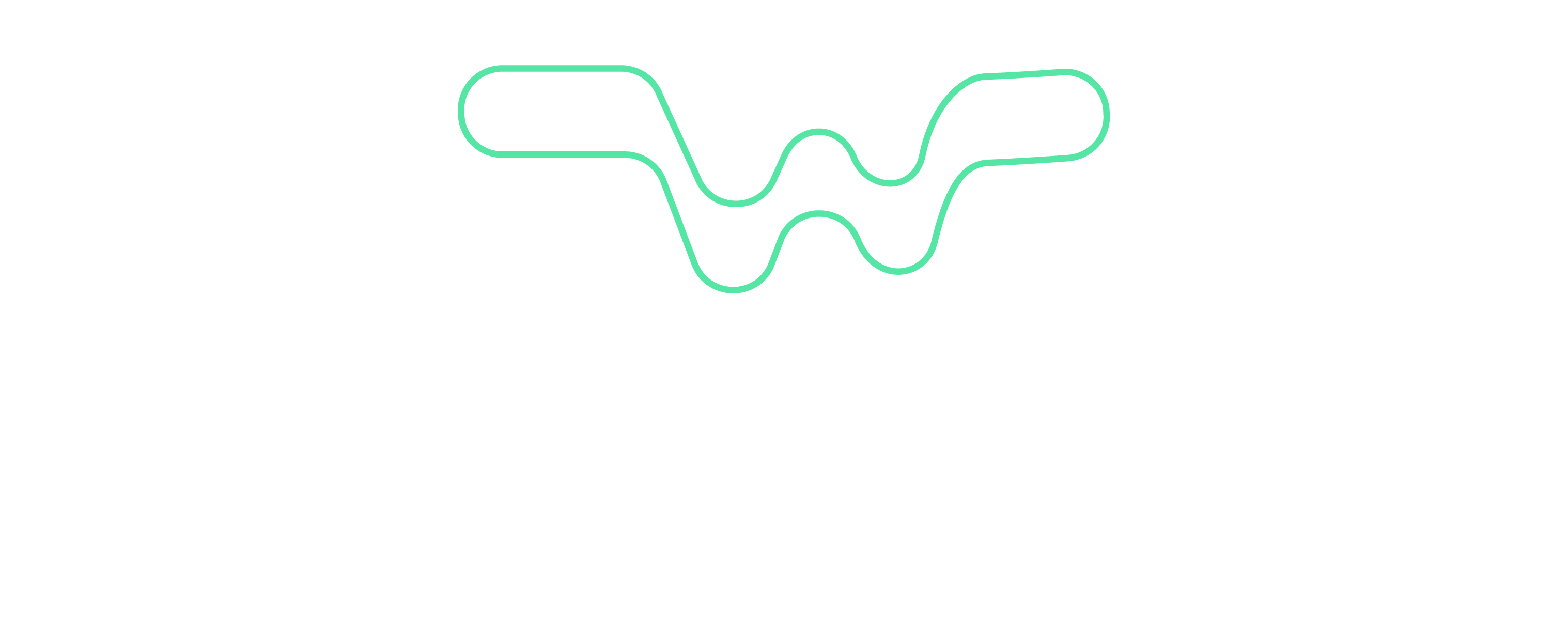 The Web Creators